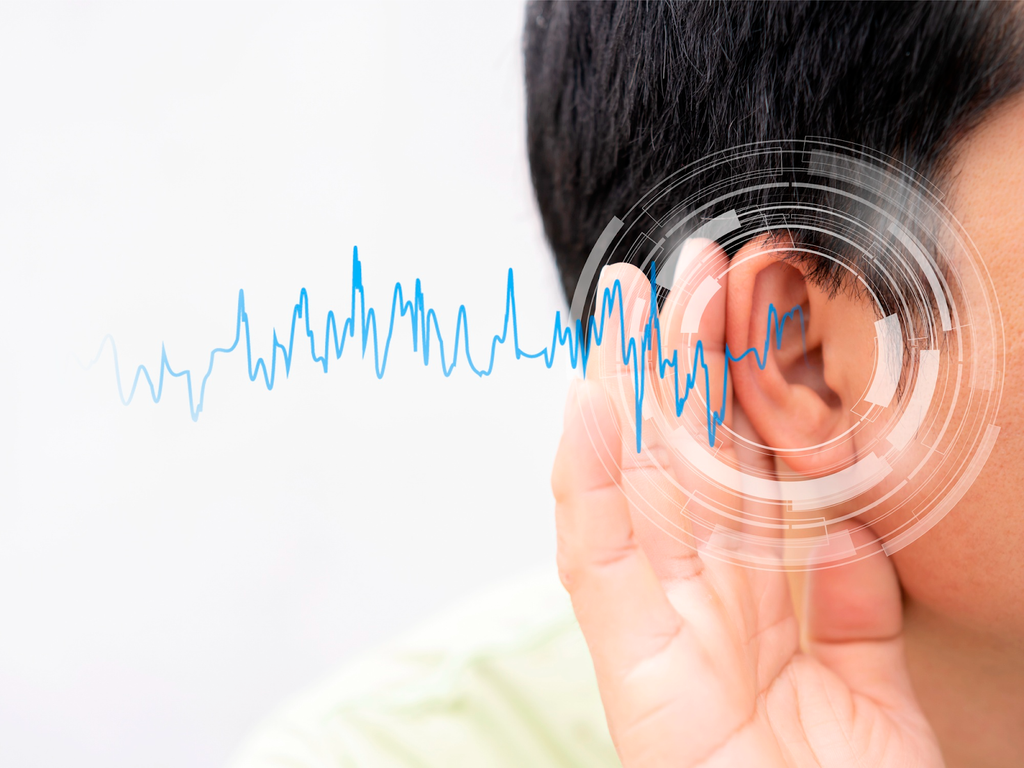 Aural Rehabilitation